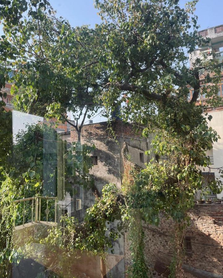 Rooftop Studio And 2Bhk Apartments In Kathmandu'S Most Happening Place Bagian luar foto